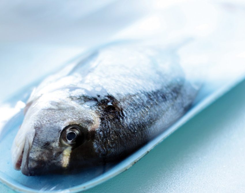 Conservazione del pesce a carne bianca: miscele e sottovuoto a confronto