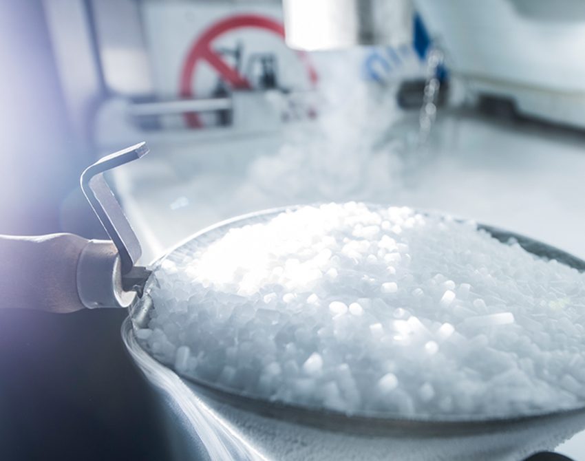 ICEandGO: ghiaccio secco per il trasporto di alimenti freschi e surgelati